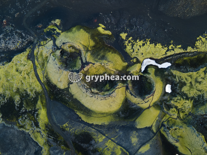 Cratères du Lakagigar - vue apicale (Islande) - gryphea.com